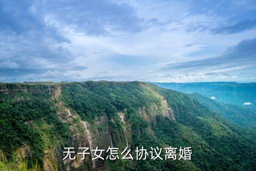 離婚協(xié)議書無(wú)子女，無(wú)子女怎么寫離婚協(xié)議書