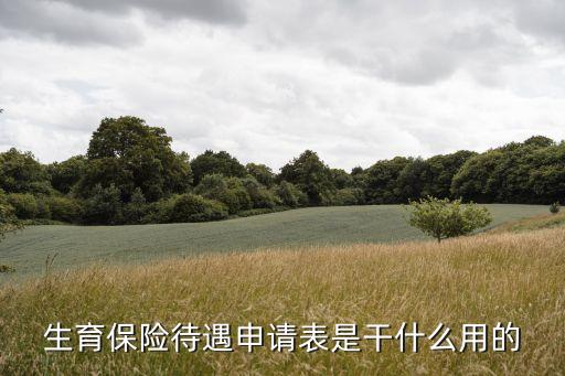生育保險(xiǎn)待遇申請(qǐng)表是干什么用的