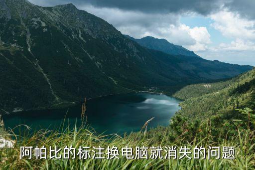 阿帕比，阿帕比閱讀器