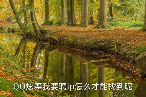 我要聘，QQ炫舞我要聘lp怎么才能找到呢