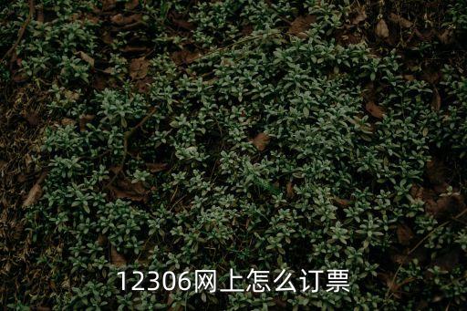 車票預(yù)訂，購買火車票