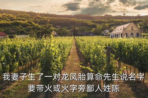陳鳳祥，龍年給男寶寶取個(gè)名字姓陳要帶祥字