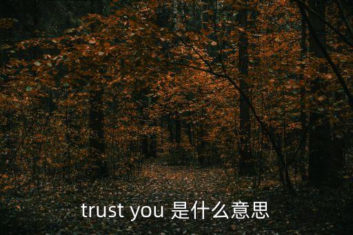 trust you 是什么意思