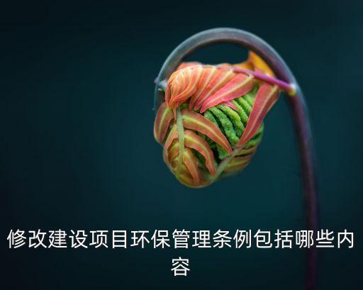 建設(shè)項目管理條例，建設(shè)項目環(huán)境保護(hù)管理條例