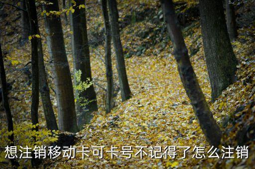 想注銷移動卡可卡號不記得了怎么注銷