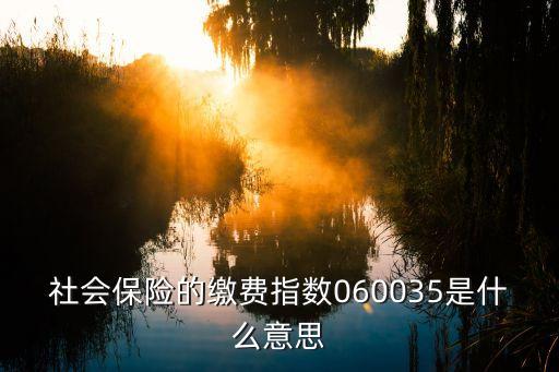 平均繳費(fèi)指數(shù)，社會保險的繳費(fèi)指數(shù)060035是什么意思