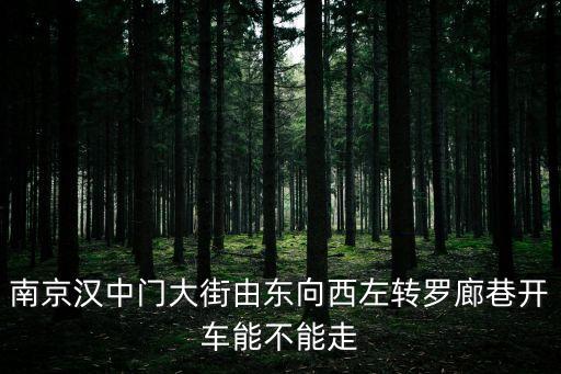 羅廊巷，想知道南京市 羅蘭巷 在哪
