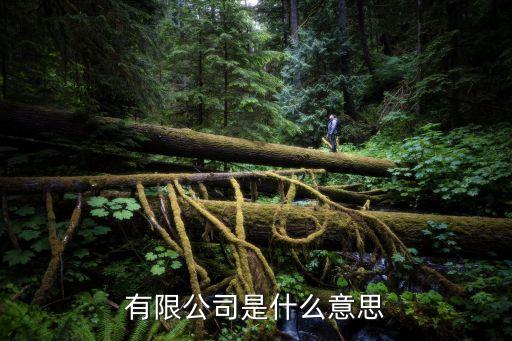 有限公，什么叫有限責(zé)任公司什么叫有限公司什么叫集團