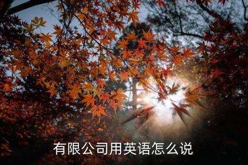 有限責(zé)任公司英文，有限公司用英語(yǔ)怎么說(shuō)