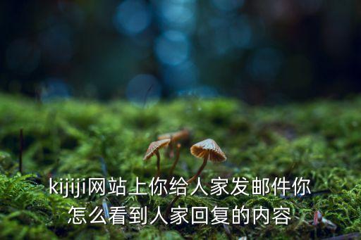 kijiji網(wǎng)站上你給人家發(fā)郵件你怎么看到人家回復的內容