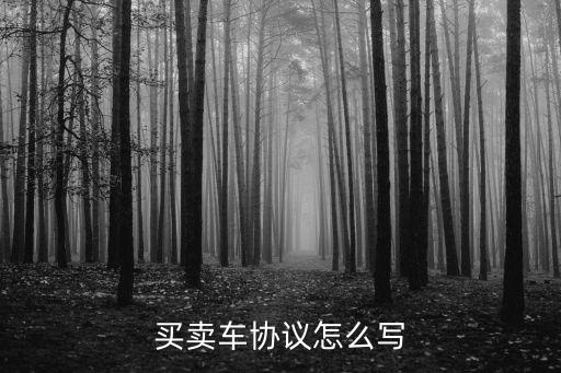 買賣車協(xié)議怎么寫