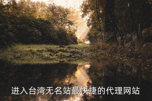 進入臺灣無名站最快捷的代理網(wǎng)站