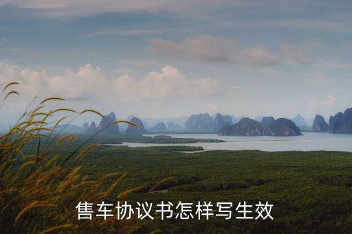 售車協(xié)議書怎樣寫生效