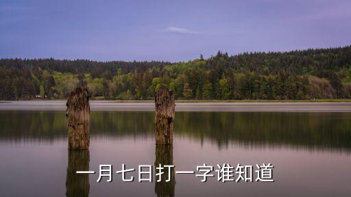 一月七日打一字誰知道