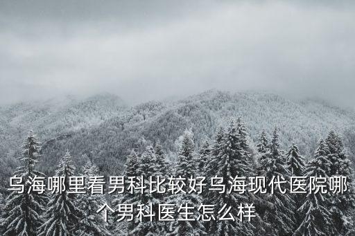烏海哪里看男科比較好烏海現(xiàn)代醫(yī)院哪個(gè)男科醫(yī)生怎么樣