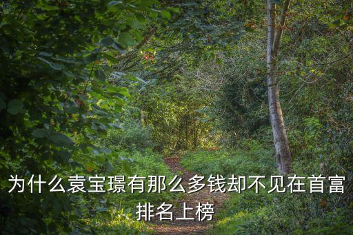 為什么袁寶璟有那么多錢卻不見在首富排名上榜