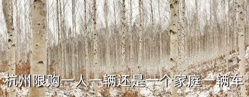 杭州限購一人一輛還是一個家庭一輛車