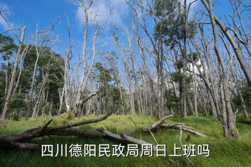 德陽市民政局，四川德陽民政局周日上班嗎