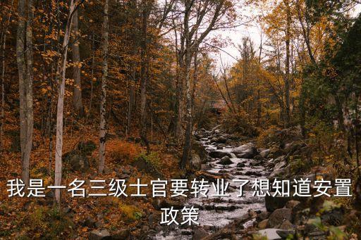 轉(zhuǎn)業(yè)士官，轉(zhuǎn)業(yè)士官安置地方接續(xù)軍齡和進(jìn)職稱(chēng)嗎