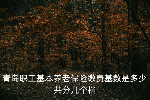 青島職工基本養(yǎng)老保險(xiǎn)繳費(fèi)基數(shù)是多少共分幾個(gè)檔