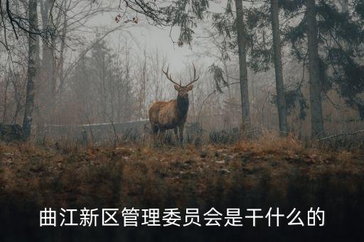 曲江新區(qū)管理委員會是干什么的