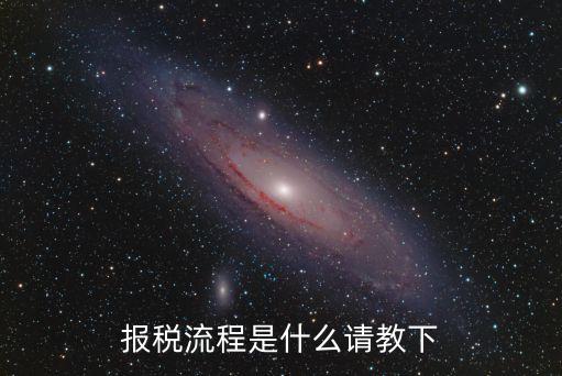 報稅怎么報，現(xiàn)在報稅是怎么報啊