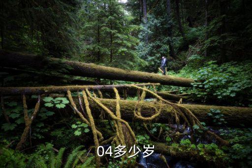 2004年多大，04多少歲