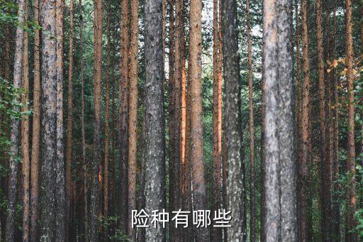 險(xiǎn)種有哪些