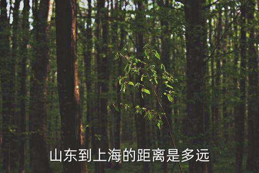 山東到上海的距離是多遠(yuǎn)