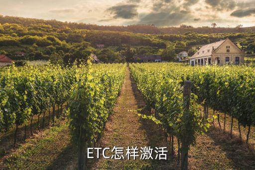 etc重新激活，ETC激活失敗