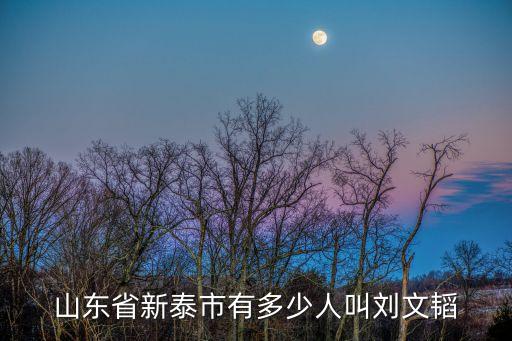 山東省新泰市有多少人叫劉文韜