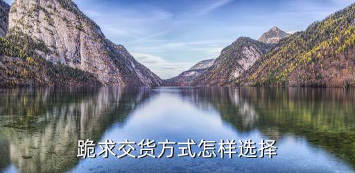 跪求交貨方式怎樣選擇