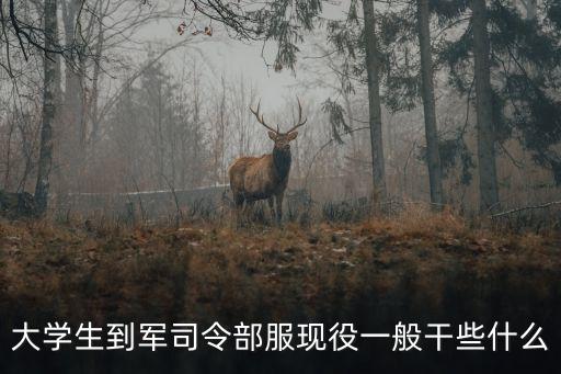 服現(xiàn)役，在現(xiàn)役部隊(duì)服役需要啥條件怎樣成為現(xiàn)役