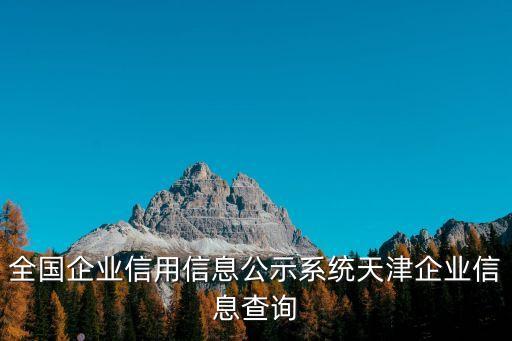 全國(guó)企業(yè)信用信息公示系統(tǒng)天津企業(yè)信息查詢