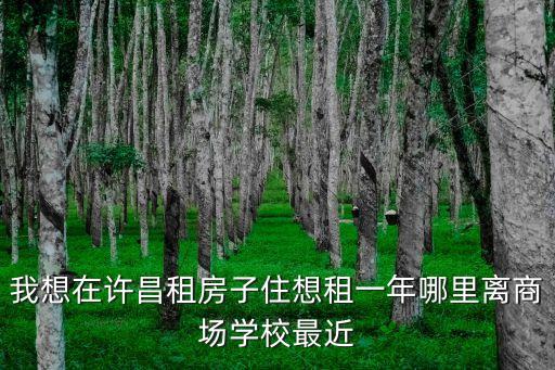 我想在許昌租房子住想租一年哪里離商場(chǎng)學(xué)校最近