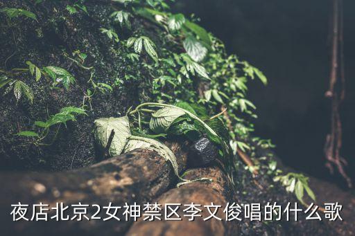 夜店北京2女神禁區(qū)李文俊唱的什么歌