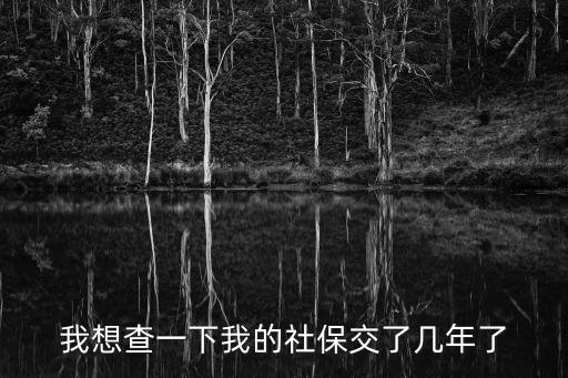 我想查一下我的社保交了幾年了