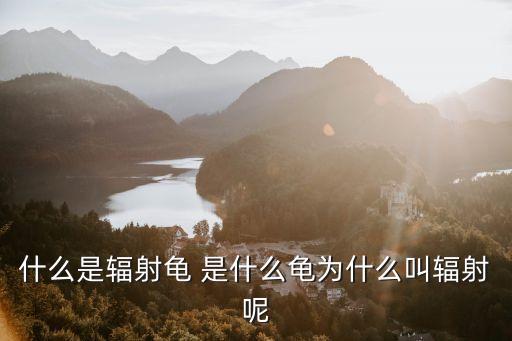 什么是輻射龜 是什么龜為什么叫輻射呢