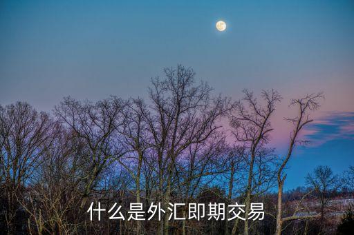 即期外匯交易，什么是外匯即期交易