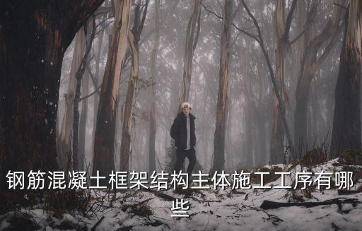 鋼筋混凝土框架結(jié)構(gòu)主體施工工序有哪些