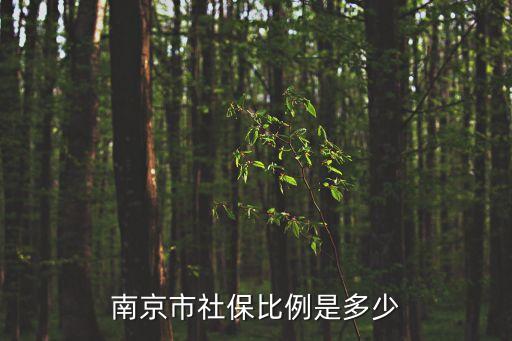 南京社保繳費(fèi)比例，南京社保繳費(fèi)比例