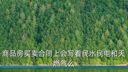民水民電，商水商電能改成民水民電嗎