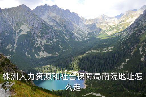 株洲市人社局，株洲市社保局的具體位置