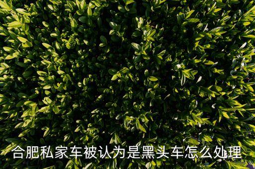 合肥私家車(chē)被認(rèn)為是黑頭車(chē)怎么處理