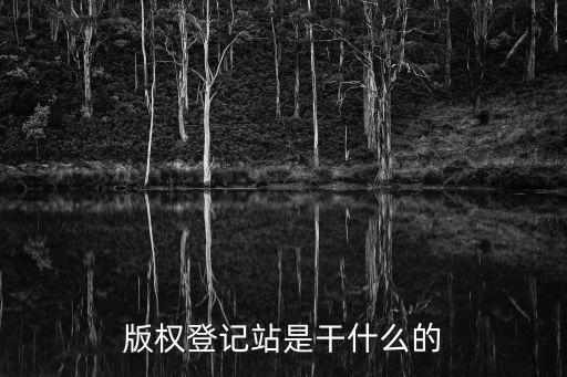 版權(quán)登記中心，版權(quán)登記要到那個(gè)機(jī)構(gòu)辦理