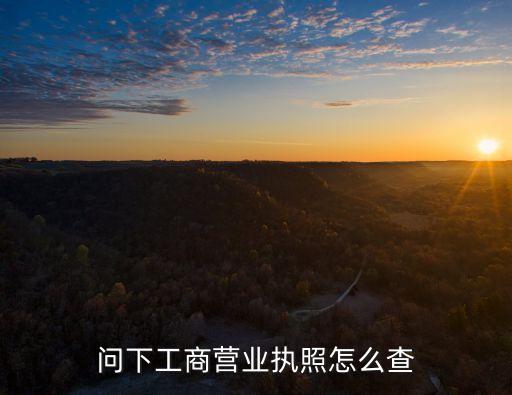問下工商營業(yè)執(zhí)照怎么查