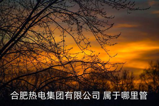 合肥熱電集團(tuán)有限公司 屬于哪里管