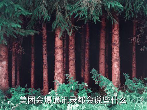 美團(tuán)會(huì)爆通訊錄都會(huì)說(shuō)些什么