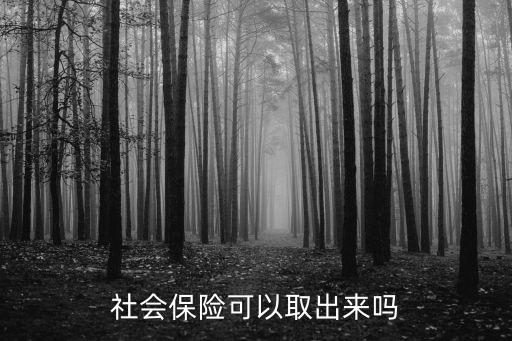 社會(huì)保險(xiǎn)可以取出來(lái)嗎
