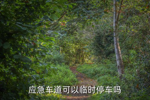應急車道可以臨時停車嗎，應急車道上臨時停車12分鐘可以嗎